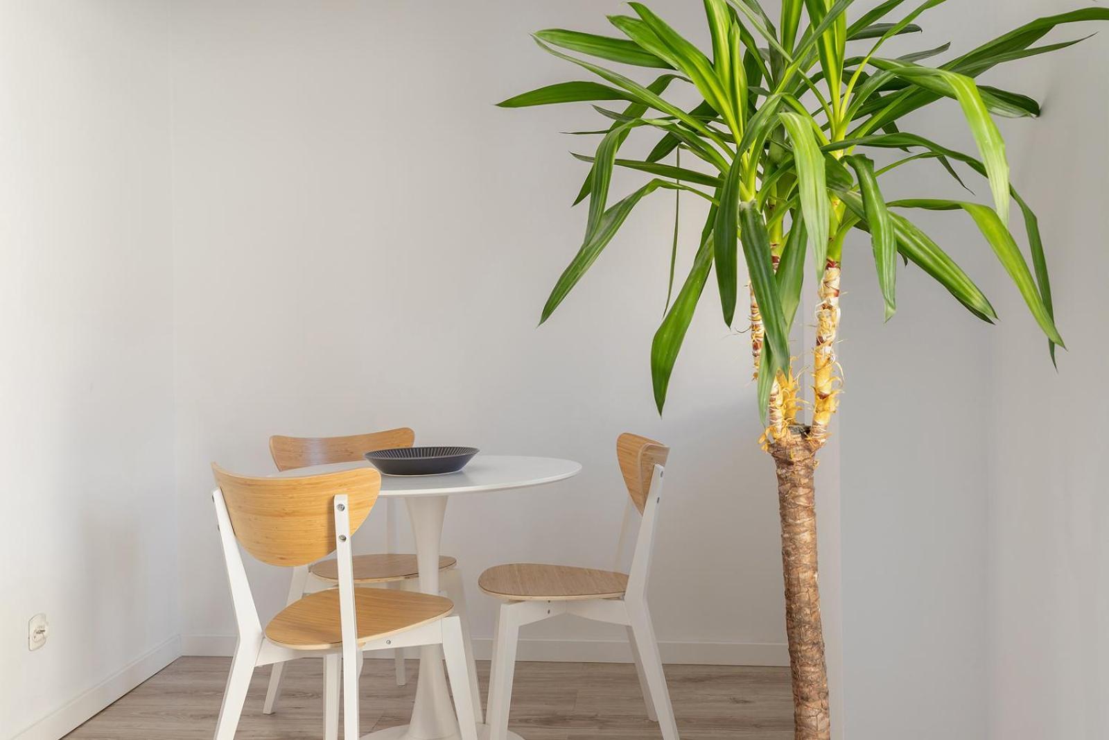 Apartamento With Balcony - Paulinska 8 Street *
